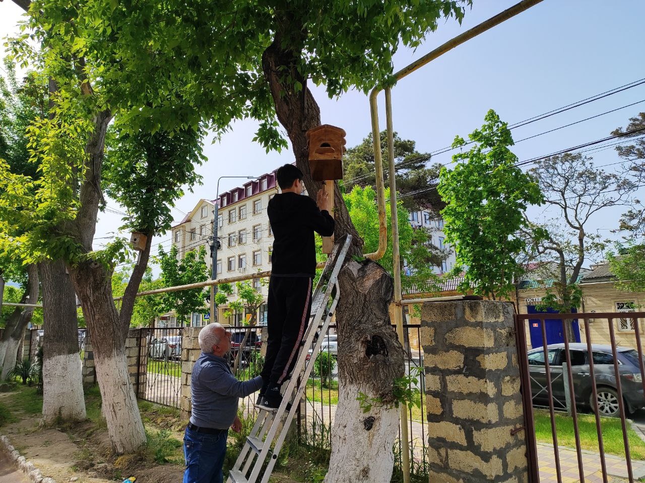 Акция &amp;quot; Покорми животных&amp;quot; в рамках недели весеннего добра была организована лидерами школьного движения. Также лидеры установили новый скворечник для птиц на территории школы.